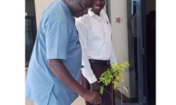 Uganda scientists invent bioplastics for wrapping nursery seedlings from farm wastes