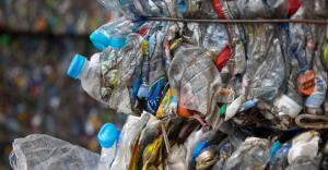 Nhựa PET thường được sử dụng để sản xuất chai nhựa, hộp đựng thực phẩm và sợi thủ công trong may mặc